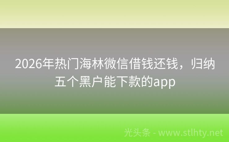 2026年热门海林微信借钱还钱，归纳五个黑户能下款的app