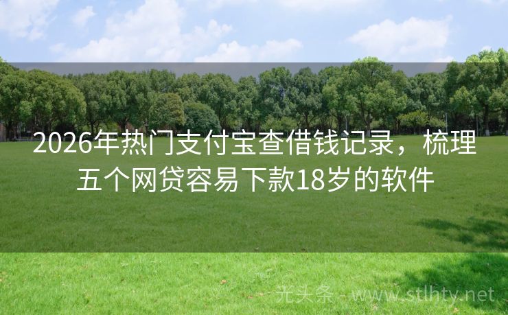2026年热门支付宝查借钱记录，梳理五个网贷容易下款18岁的软件