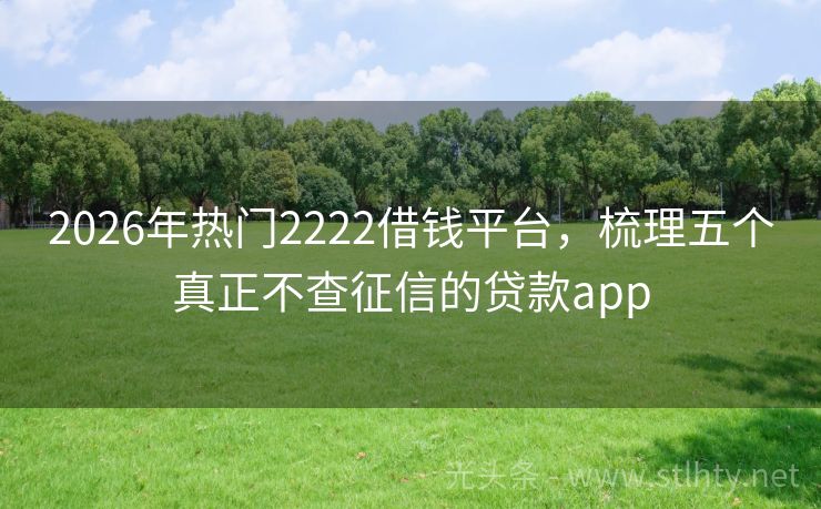 2026年热门2222借钱平台，梳理五个真正不查征信的贷款app
