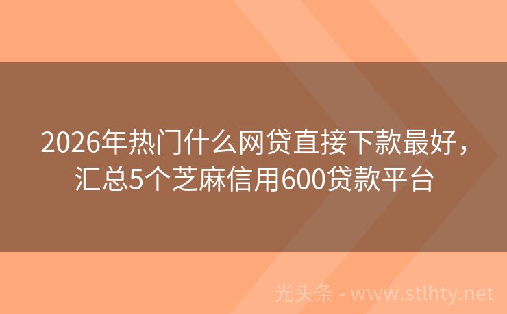 2026年热门什么网贷直接下款最好，汇总5个芝麻信用600贷款平台