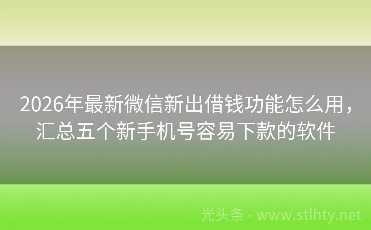 2026年最新微信新出借钱功能怎么用，汇总五个新手机号容易下款的软件