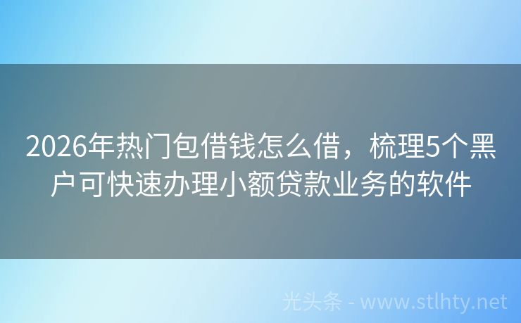 2026年热门包借钱怎么借，梳理5个黑户可快速办理小额贷款业务的软件