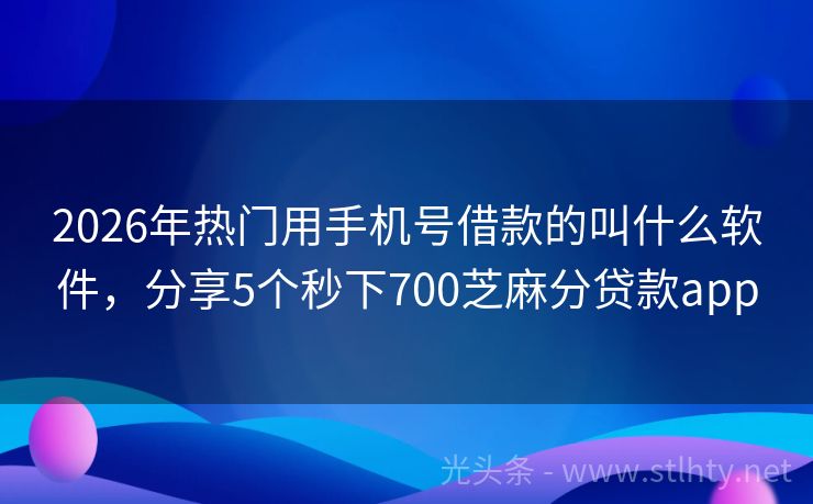 2026年热门用手机号借款的叫什么软件，分享5个秒下700芝麻分贷款app