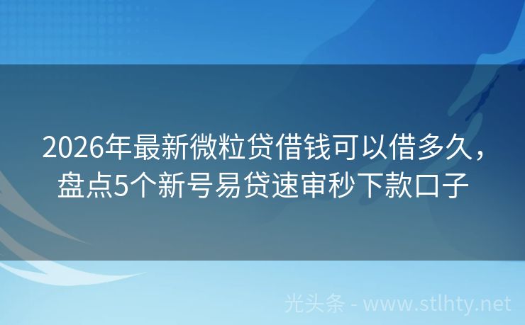 2026年最新微粒贷借钱可以借多久，盘点5个新号易贷速审秒下款口子