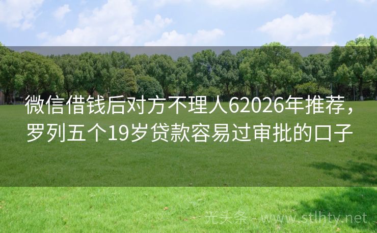 微信借钱后对方不理人62026年推荐，罗列五个19岁贷款容易过审批的口子