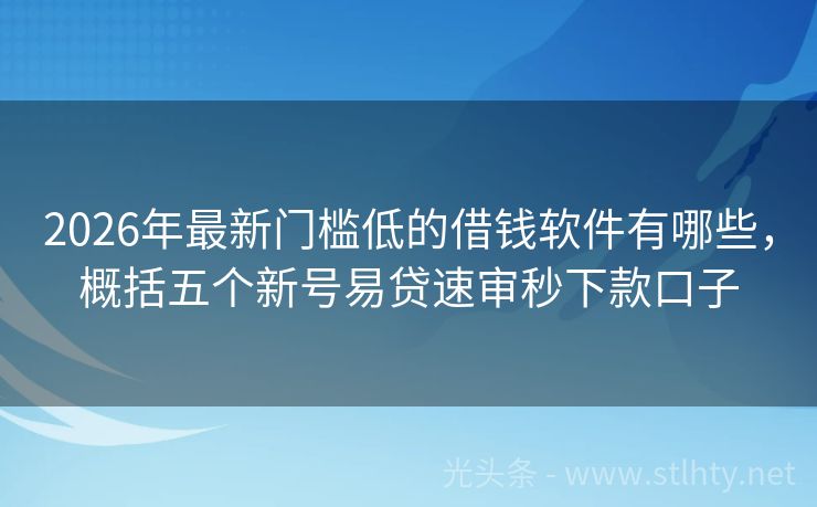 2026年最新门槛低的借钱软件有哪些，概括五个新号易贷速审秒下款口子