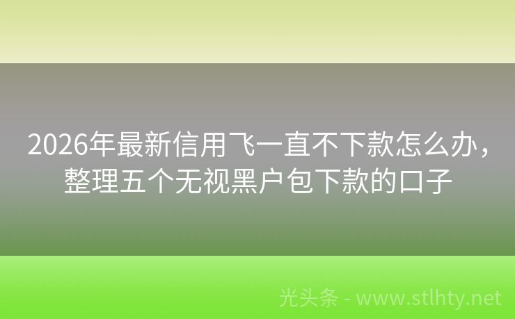2026年最新信用飞一直不下款怎么办，整理五个无视黑户包下款的口子