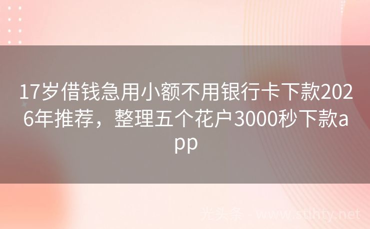 17岁借钱急用小额不用银行卡下款2026年推荐，整理五个花户3000秒下款app