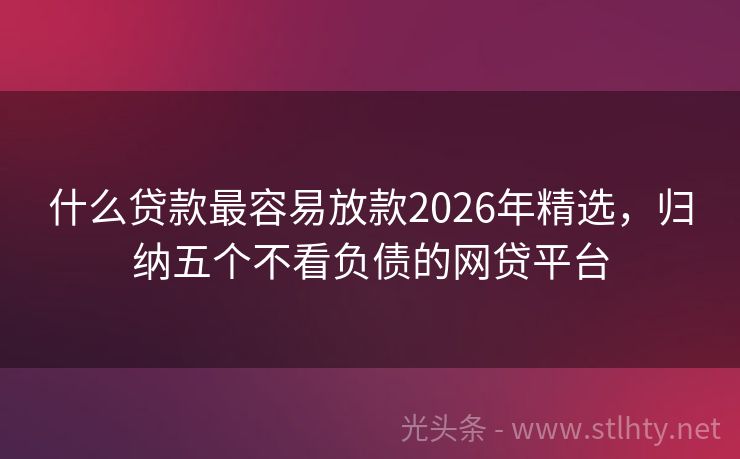 什么贷款最容易放款2026年精选，归纳五个不看负债的网贷平台