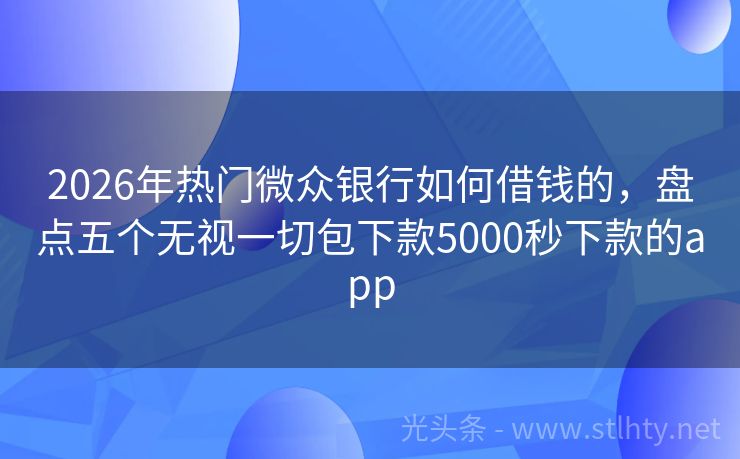 2026年热门微众银行如何借钱的，盘点五个无视一切包下款5000秒下款的app