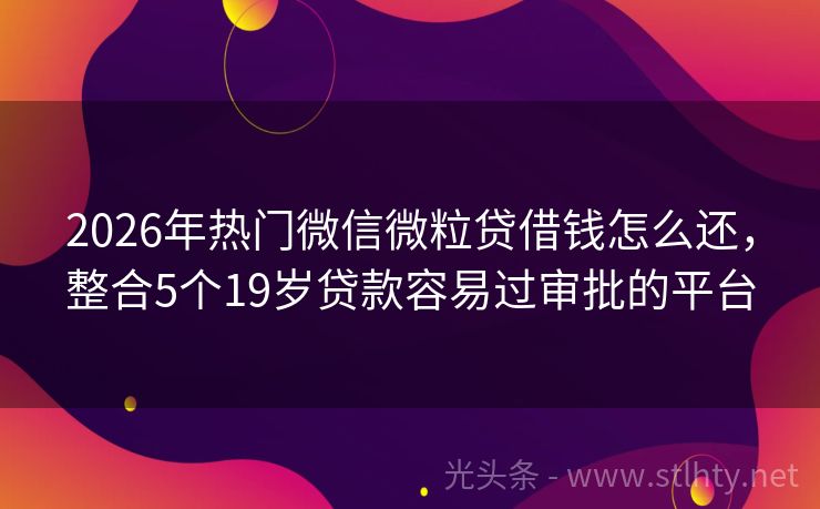 2026年热门微信微粒贷借钱怎么还，整合5个19岁贷款容易过审批的平台
