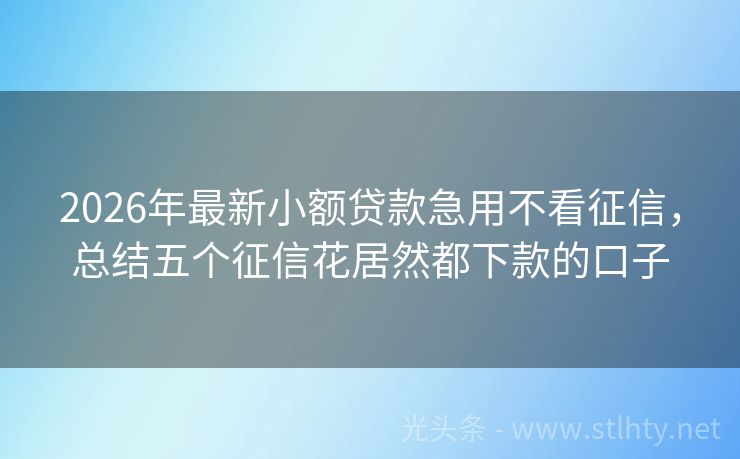 2026年最新小额贷款急用不看征信，总结五个征信花居然都下款的口子
