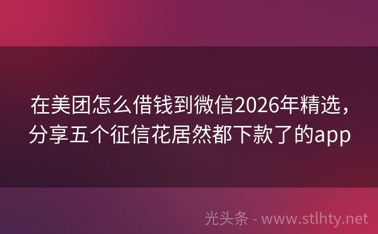 在美团怎么借钱到微信2026年精选，分享五个征信花居然都下款了的app