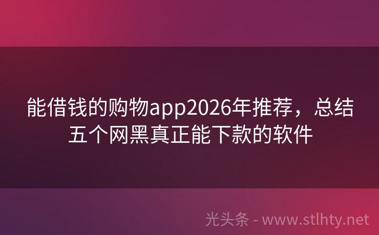 能借钱的购物app2026年推荐，总结五个网黑真正能下款的软件