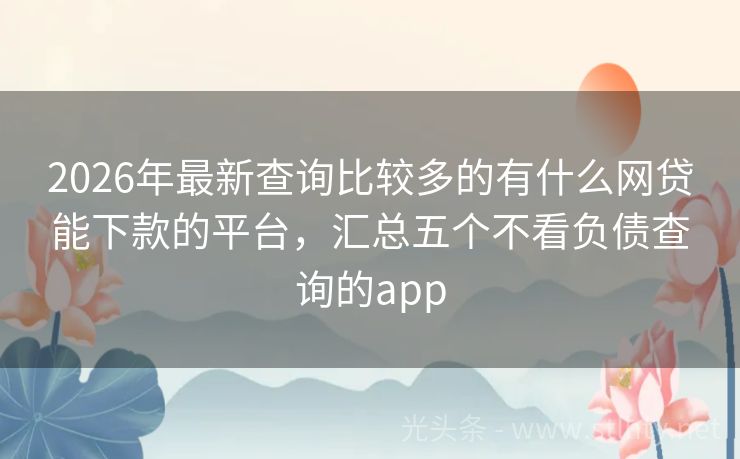2026年最新查询比较多的有什么网贷能下款的平台，汇总五个不看负债查询的app