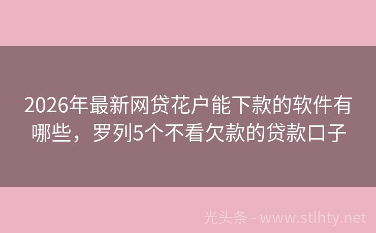 2026年最新网贷花户能下款的软件有哪些，罗列5个不看欠款的贷款口子