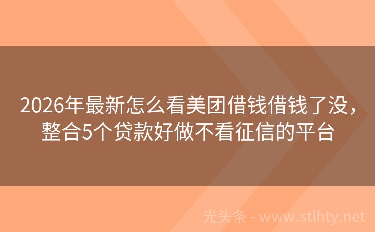 2026年最新怎么看美团借钱借钱了没，整合5个贷款好做不看征信的平台