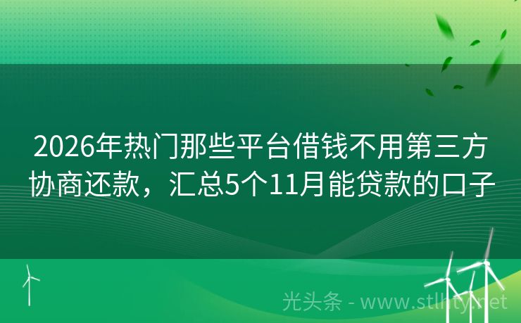 2026年热门那些平台借钱不用第三方协商还款，汇总5个11月能贷款的口子