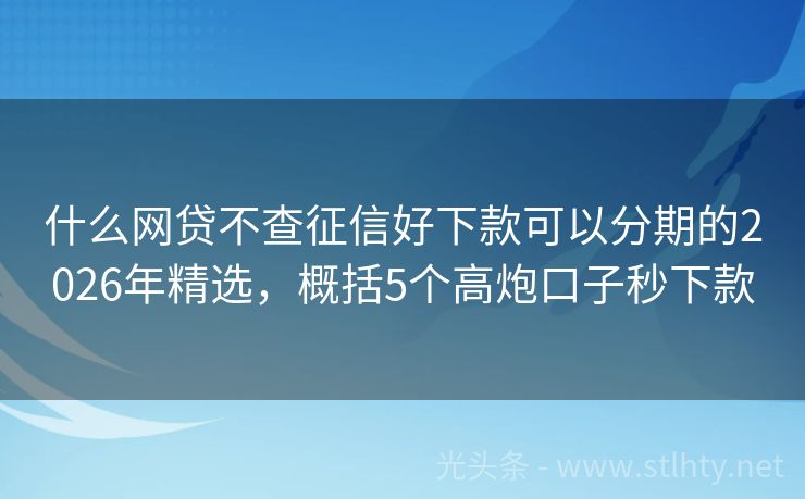 什么网贷不查征信好下款可以分期的2026年精选，概括5个高炮口子秒下款