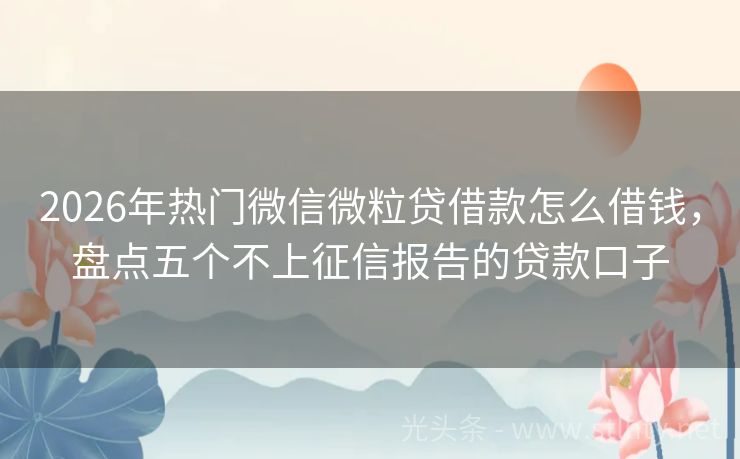 2026年热门微信微粒贷借款怎么借钱，盘点五个不上征信报告的贷款口子