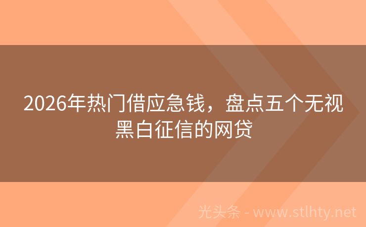 2026年热门借应急钱，盘点五个无视黑白征信的网贷