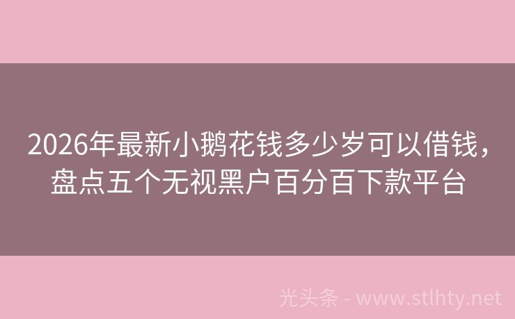 2026年最新小鹅花钱多少岁可以借钱，盘点五个无视黑户百分百下款平台