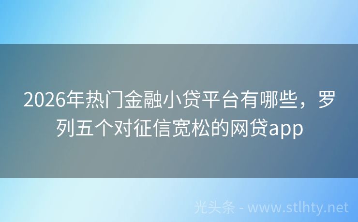 2026年热门金融小贷平台有哪些，罗列五个对征信宽松的网贷app
