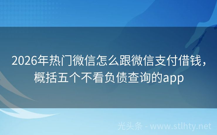 2026年热门微信怎么跟微信支付借钱，概括五个不看负债查询的app