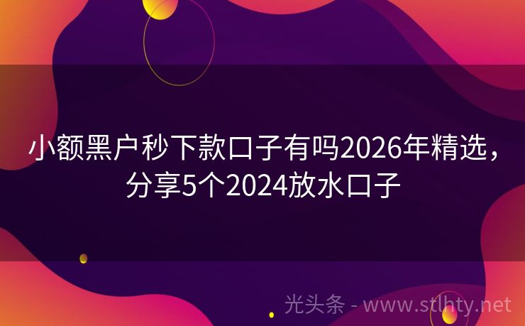 小额黑户秒下款口子有吗2026年精选，分享5个2024放水口子