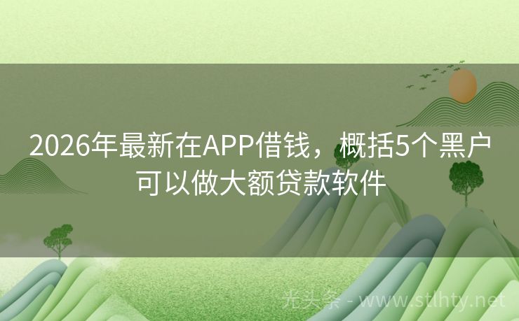 2026年最新在APP借钱，概括5个黑户可以做大额贷款软件