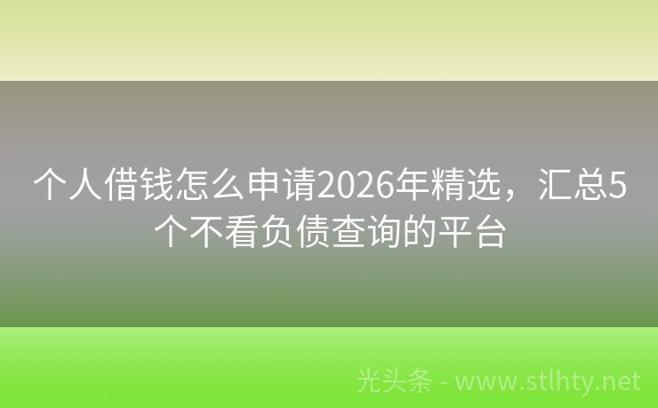 个人借钱怎么申请2026年精选，汇总5个不看负债查询的平台