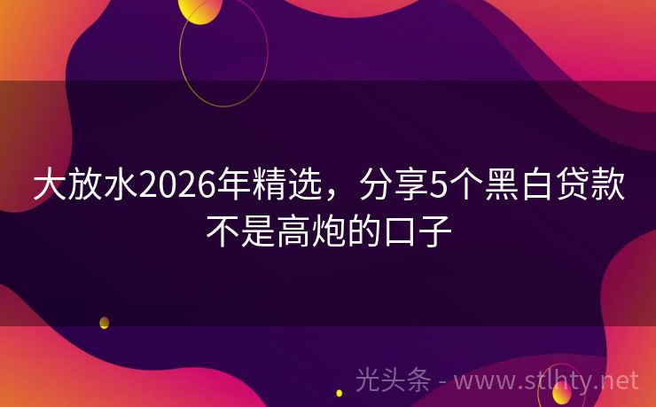 大放水2026年精选，分享5个黑白贷款不是高炮的口子