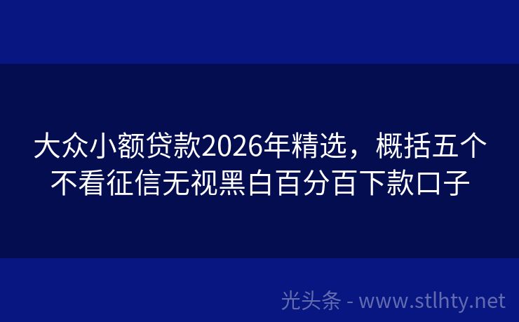 大众小额贷款2026年精选，概括五个不看征信无视黑白百分百下款口子