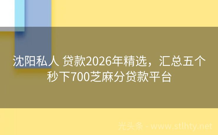 沈阳私人 贷款2026年精选，汇总五个秒下700芝麻分贷款平台