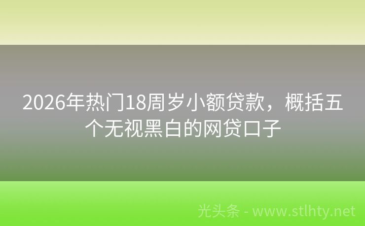 2026年热门18周岁小额贷款，概括五个无视黑白的网贷口子