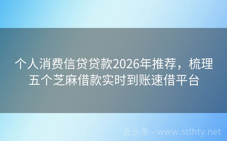 个人消费信贷贷款2026年推荐，梳理五个芝麻借款实时到账速借平台