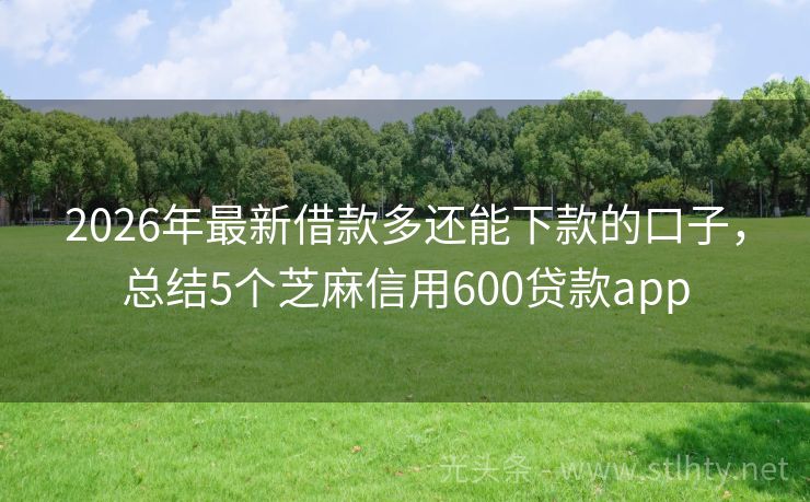 2026年最新借款多还能下款的口子，总结5个芝麻信用600贷款app