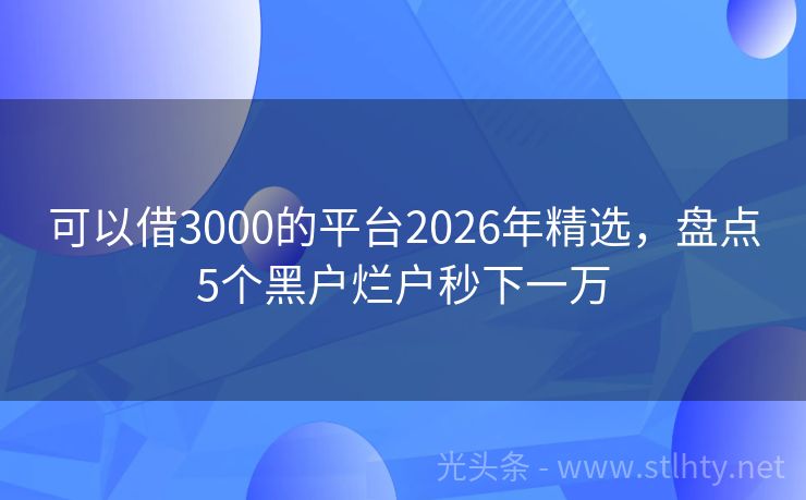 可以借3000的平台2026年精选，盘点5个黑户烂户秒下一万