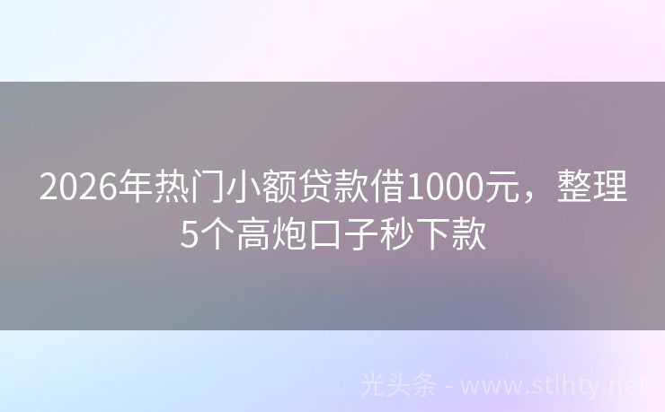 2026年热门小额贷款借1000元，整理5个高炮口子秒下款