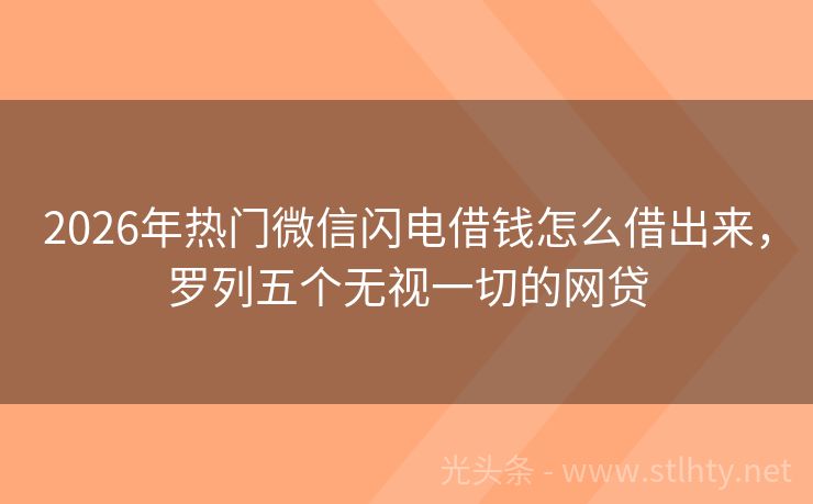 2026年热门微信闪电借钱怎么借出来，罗列五个无视一切的网贷