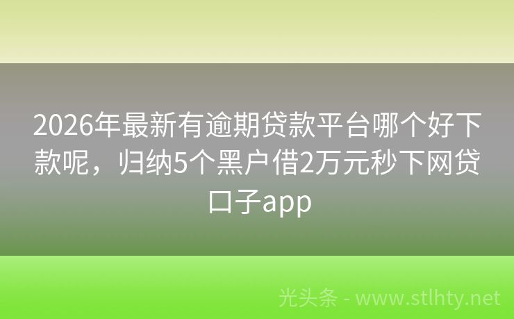 2026年最新有逾期贷款平台哪个好下款呢，归纳5个黑户借2万元秒下网贷口子app