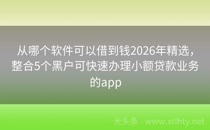 从哪个软件可以借到钱2026年精选，整合5个黑户可快速办理小额贷款业务的app