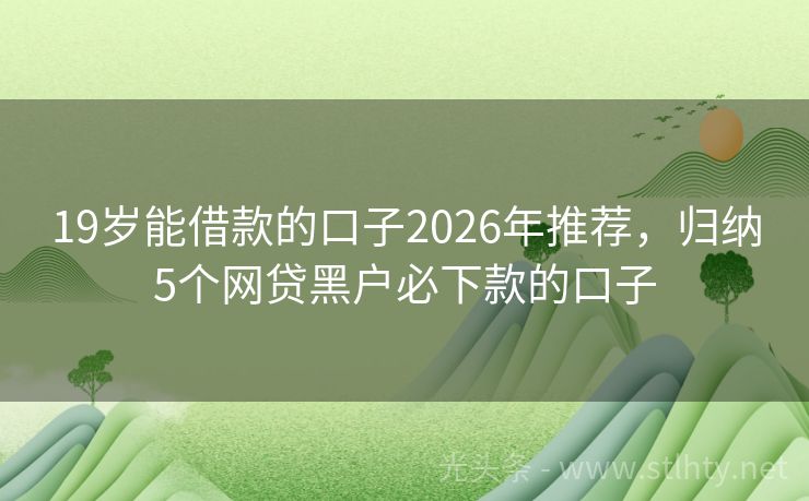 19岁能借款的口子2026年推荐，归纳5个网贷黑户必下款的口子