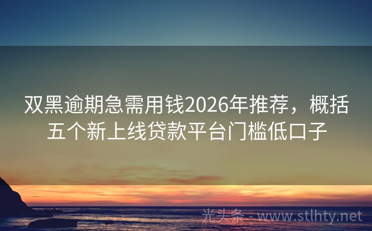 双黑逾期急需用钱2026年推荐，概括五个新上线贷款平台门槛低口子