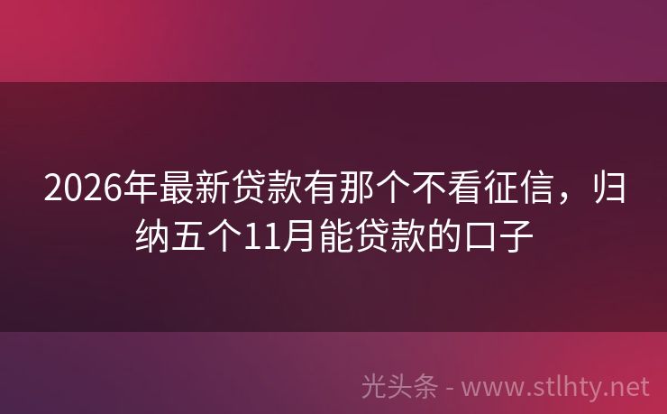 2026年最新贷款有那个不看征信，归纳五个11月能贷款的口子