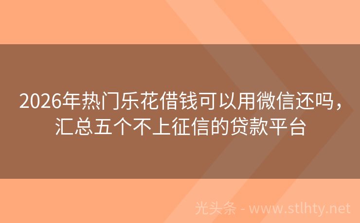 2026年热门乐花借钱可以用微信还吗，汇总五个不上征信的贷款平台