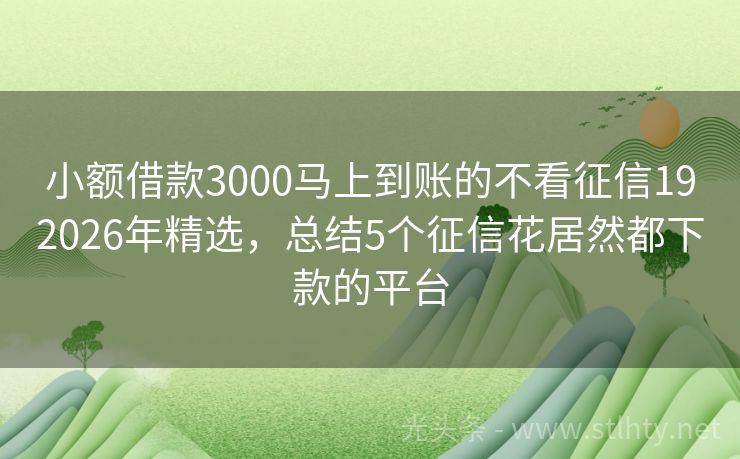 小额借款3000马上到账的不看征信192026年精选，总结5个征信花居然都下款的平台