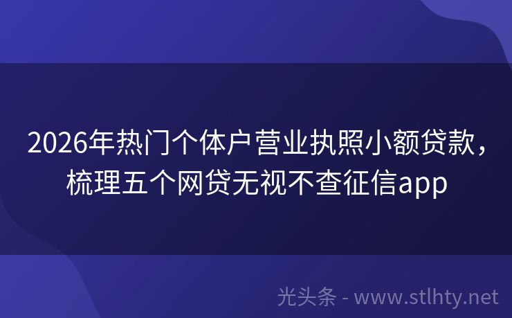 2026年热门个体户营业执照小额贷款，梳理五个网贷无视不查征信app