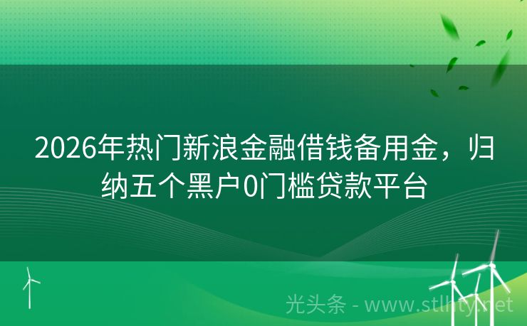 2026年热门新浪金融借钱备用金，归纳五个黑户0门槛贷款平台