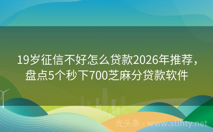 19岁征信不好怎么贷款2026年推荐，盘点5个秒下700芝麻分贷款软件